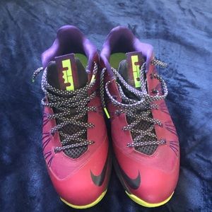 LeBron 10 low plums no box